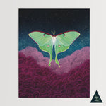 Luna Moth Ascends Art Print