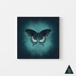 Butterfly Glow Canvas Print