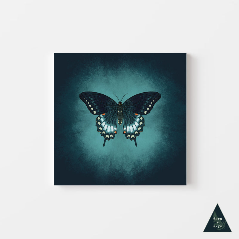 Butterfly Glow Canvas Print