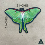 Luna Moth Ascends Sticker
