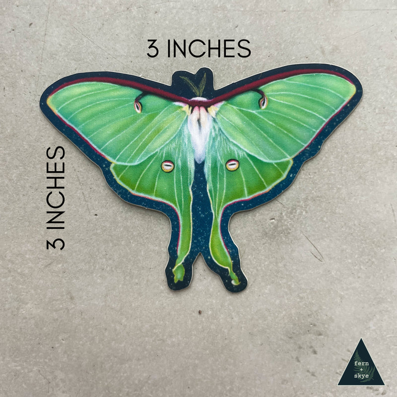 Luna Moth Ascends Sticker