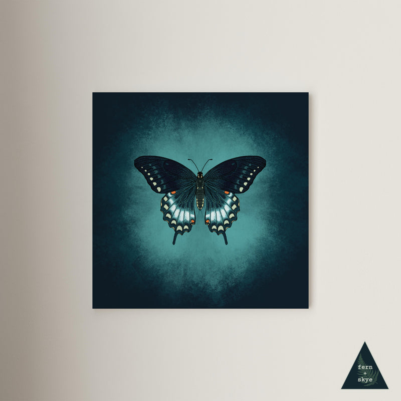 Butterfly Glow Canvas Print