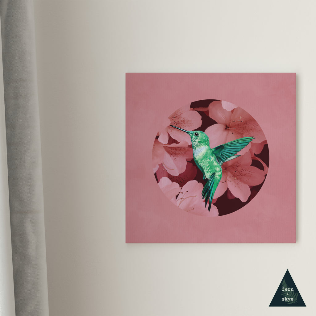 Hummingbird in Cherry Blossoms Canvas Print