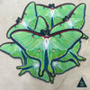 Luna Moth Ascends Sticker