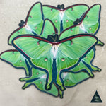 Luna Moth Ascends Sticker