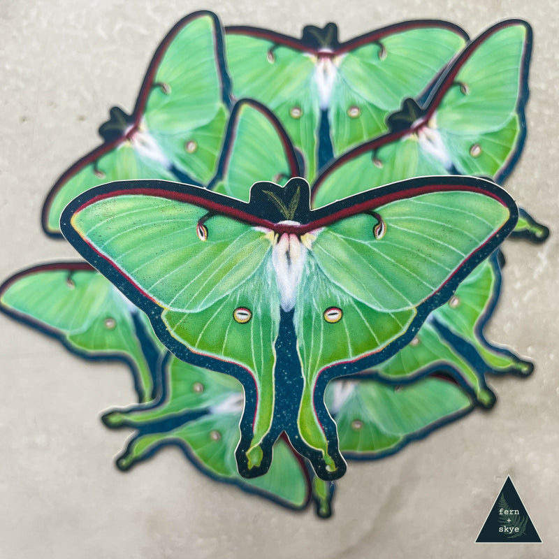 Luna Moth Ascends Sticker