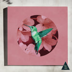 Hummingbird in Cherry Blossoms Canvas Print