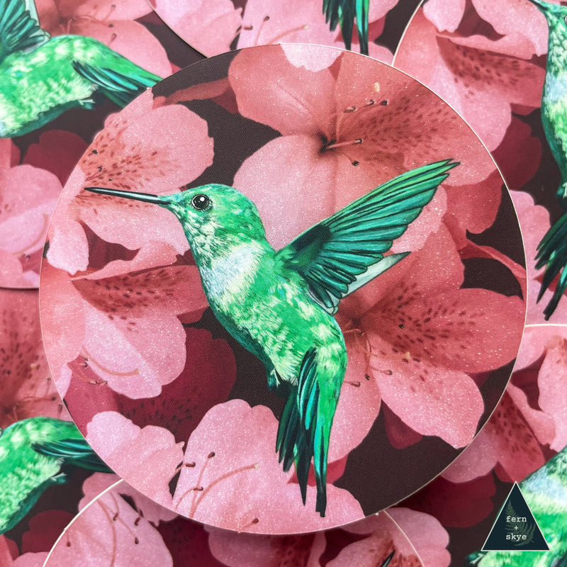 Hummingbird in Cherry Blossoms Sticker