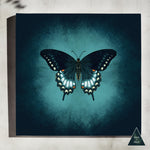 Butterfly Glow Canvas Print