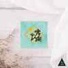 Ginkgo in the Sun Mini Print