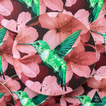 Hummingbird in Cherry Blossoms Sticker
