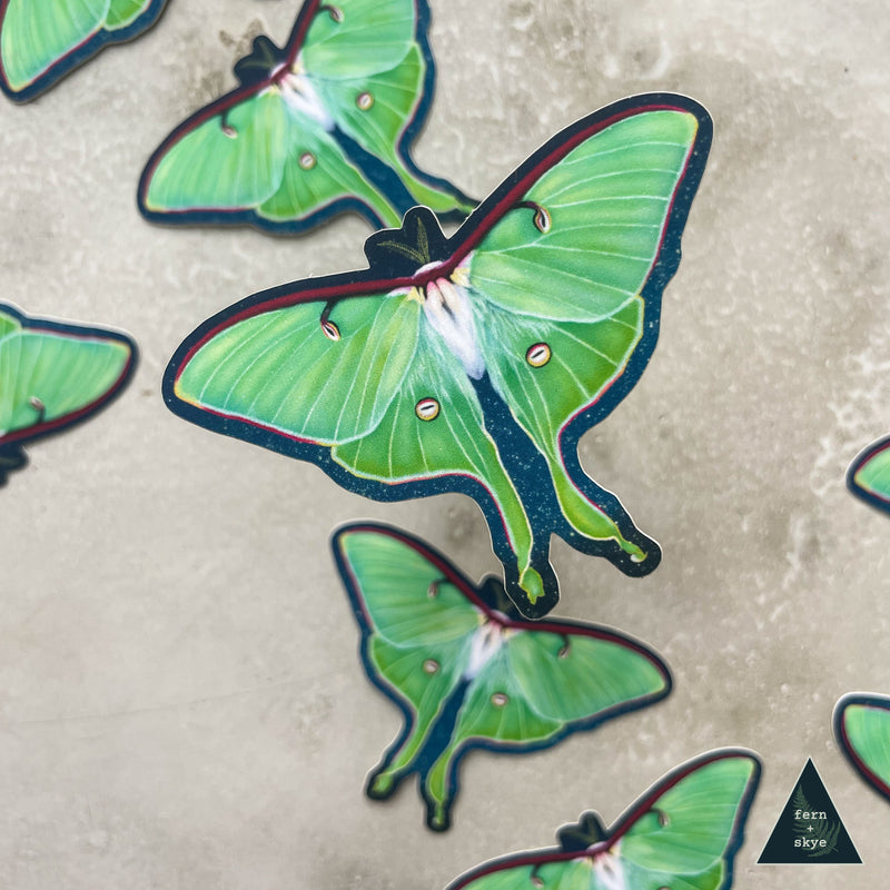 Luna Moth Ascends Sticker