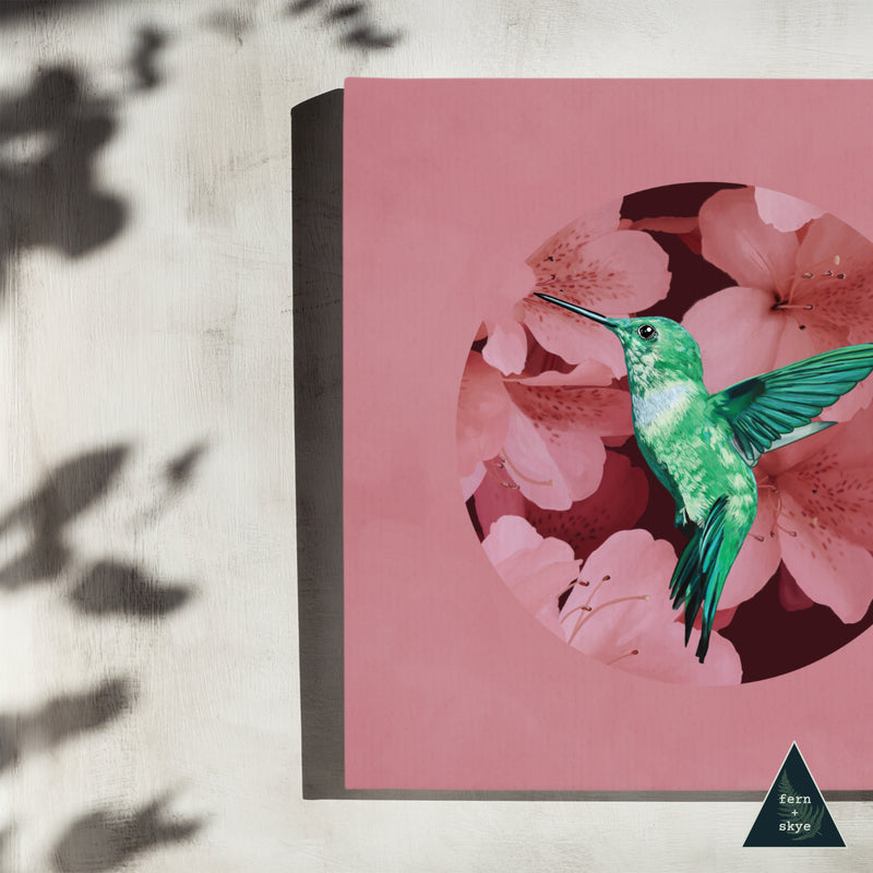 Hummingbird in Cherry Blossoms Canvas Print