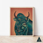 Bold Bison Art Print