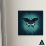 Butterfly Glow Canvas Print