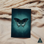 Butterfly Glow Sustainable Greeting Card - 4x6"